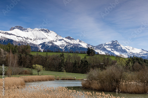 Etang du marais (Mens - Trièves - France - Alpes)