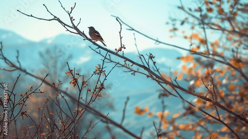 Birds are sitting on the branches of trees. Mountain landscape