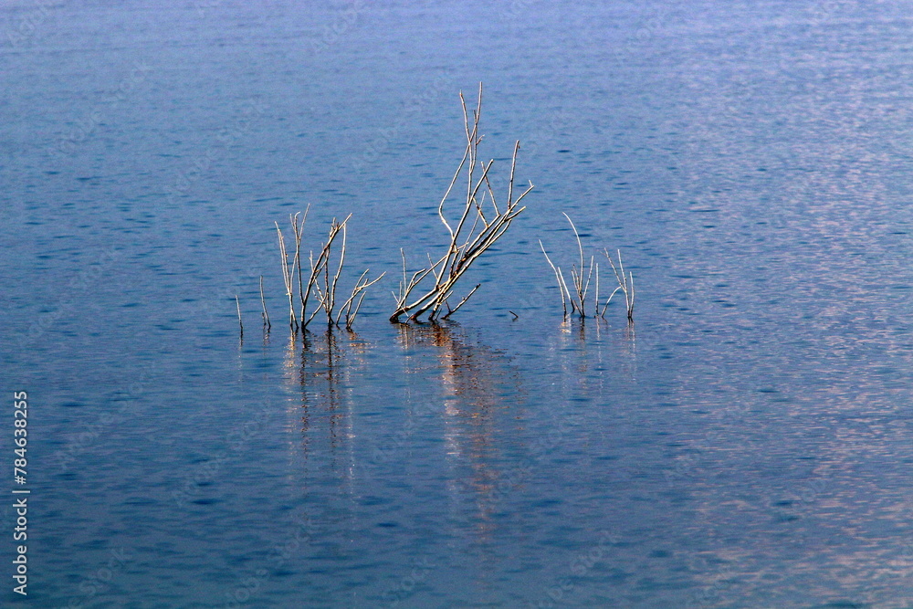Lake Kinneret. The lake's coastline is the lowest landmass on Earth Lake Kinneret. The lake's coastline is the lowest landmass on Earth