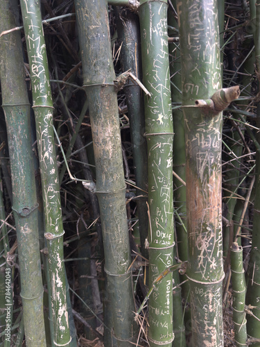 bamboo with inscriptions in thailand