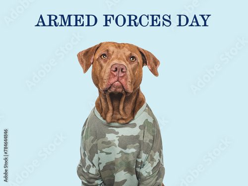 Armed Forces Day. Charming, lovable dog and congratulatory inscription. Close-up, indoors. Studio shot. National holiday concept. Congratulations for family, relatives, friends, colleagues. Pets care