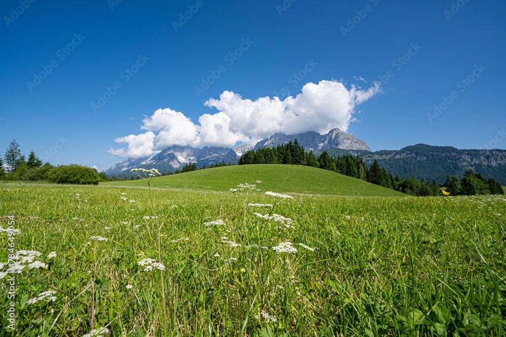 Fototapeta premium Grüne Almen und Wiesen in der Nähe des Wilden Kaiser Hochgebirges im Frühsommer.