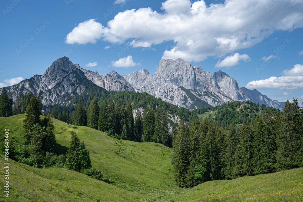 Österreichische Alpen - malerisches Hochgebirge mit grünen Almen und Tannenwald davor.