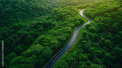 driving road through forest ariel view