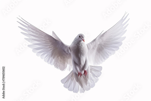 white dove flying isolated on white 