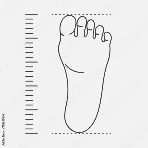 Foot size measurement for shoes line illustration