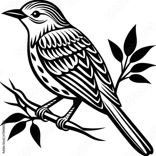     Bird on a branch vector illustration.  © Abul Kalam
