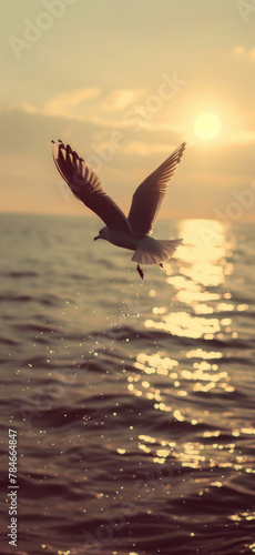 Seagull Flying Over Ocean Waves., Amazing and simple wallpaper, for mobile © Dolgren