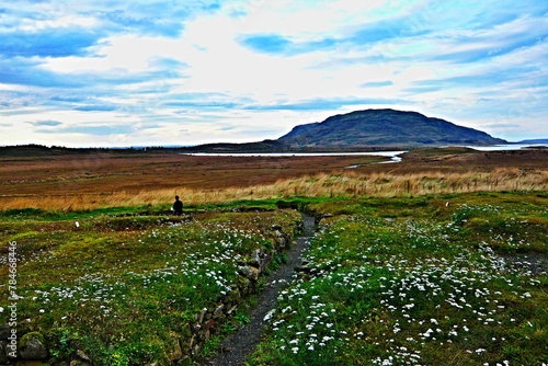 Iceland-view of landscape in Skálholt near Laugarás