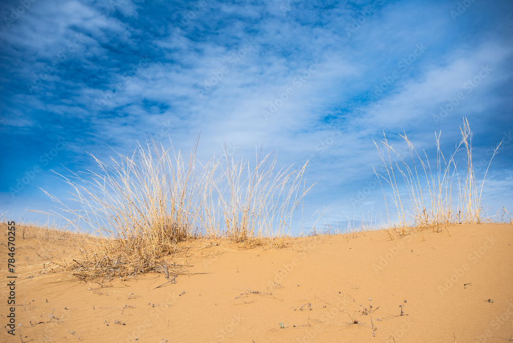 custom made wallpaper toronto digitalsand dunes and sky