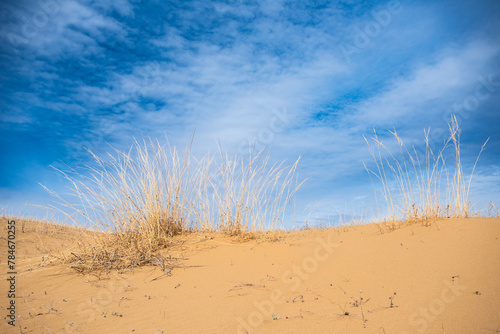 Wallpaper Mural sand dunes and sky Torontodigital.ca
