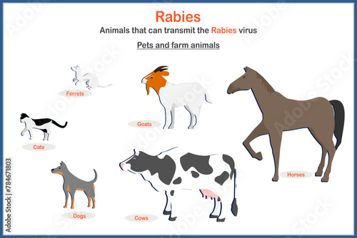 Medical vector illustration in flat style. The concept of rabies carriers Pets and livestock such as cats, dogs, ferrets, goats, cows and horses