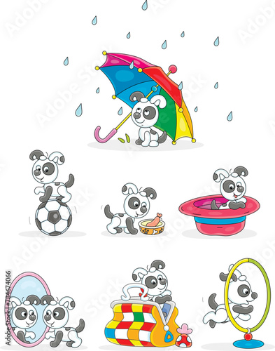 Funny little spotted black and white puppy playing with different domestic things at home, set of vector cartoon illustrations on a white background