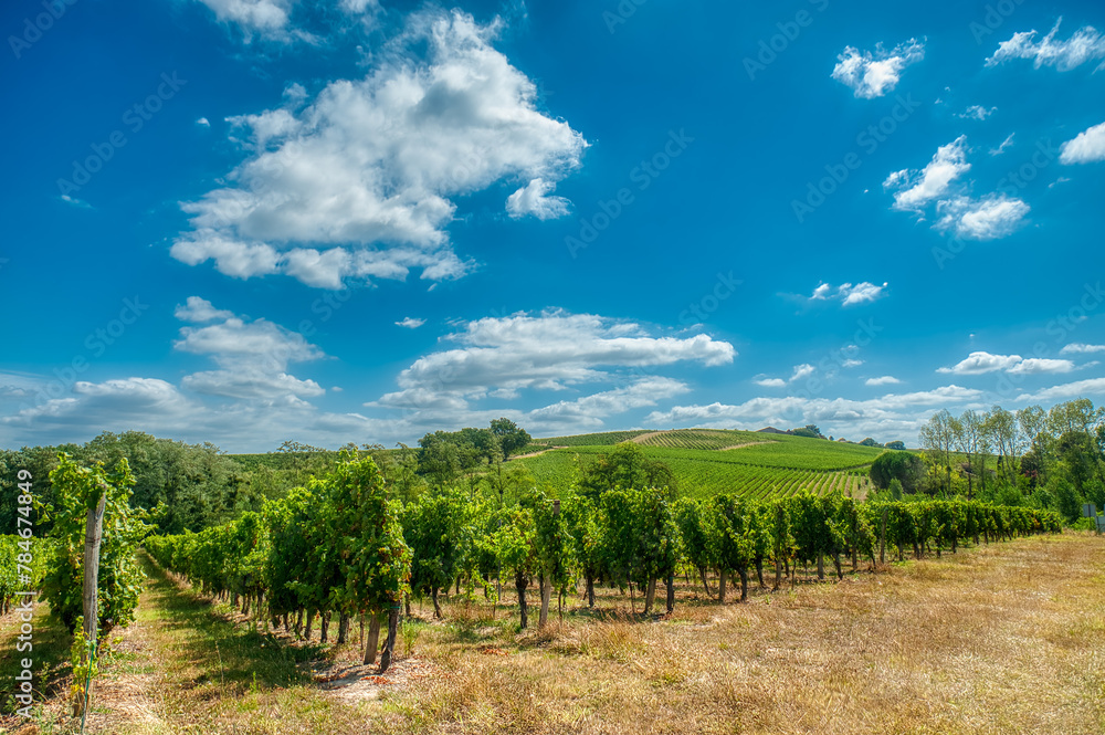 Naklejka premium Verdelais is a town and commune in France, located in the Aquitaine region, Gironde department,