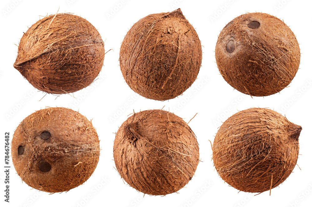 Coconut isolated set. Collection of coconuts on a transparent background, from different angles. Coconut isolated set. Collection of coconuts on a transparent background, from different angles.
