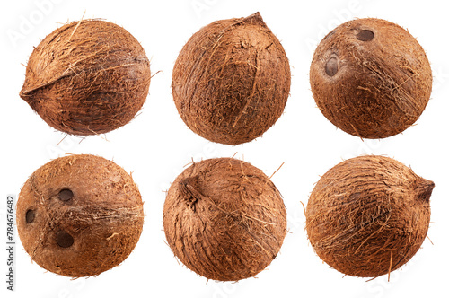 Coconut isolated set. Collection of coconuts on a transparent background, from different angles.