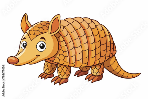 armadillo vector illustration