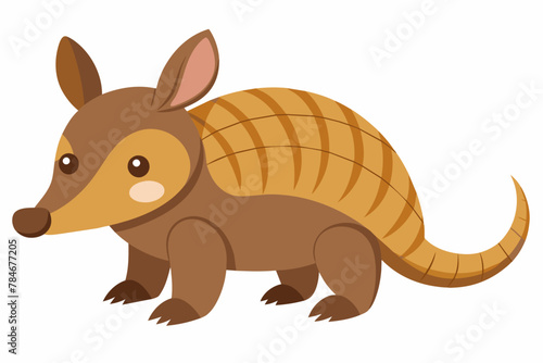 armadillo vector illustration © Shiju Graphics