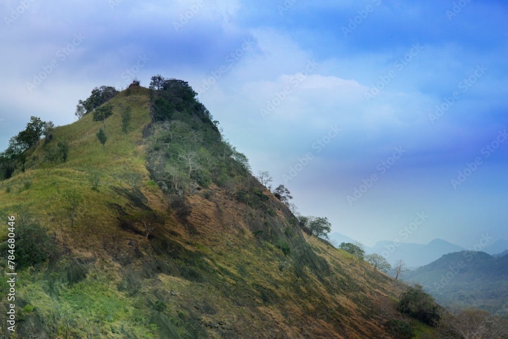 scene of mountain