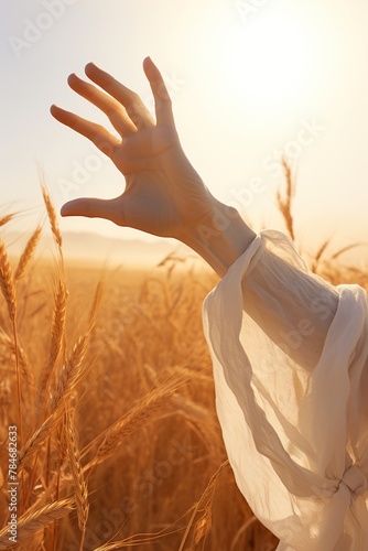 Beautiful woman hand in wheat field at sunset. Nature background