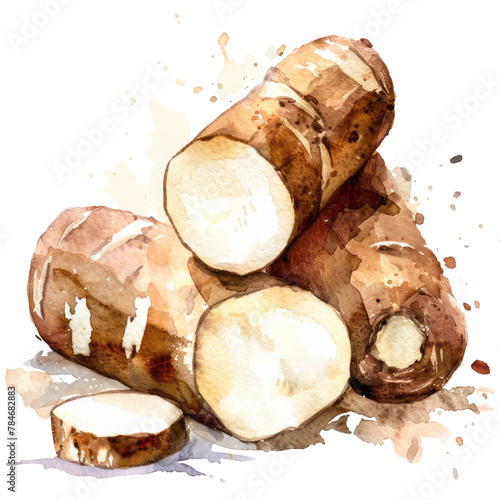 vegetable - Burdock root is a nutritious vegetable that comes from the burdock plant, scientifically known as Arctium lappa.