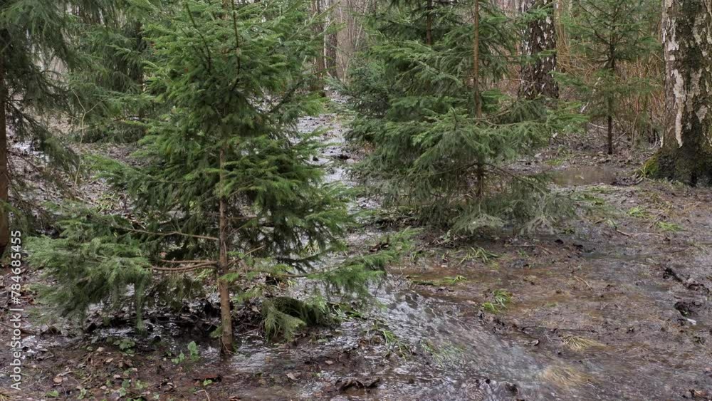 Spring flood in the forest. High water in april forest. Spring flood in the forest. High water in april forest.
