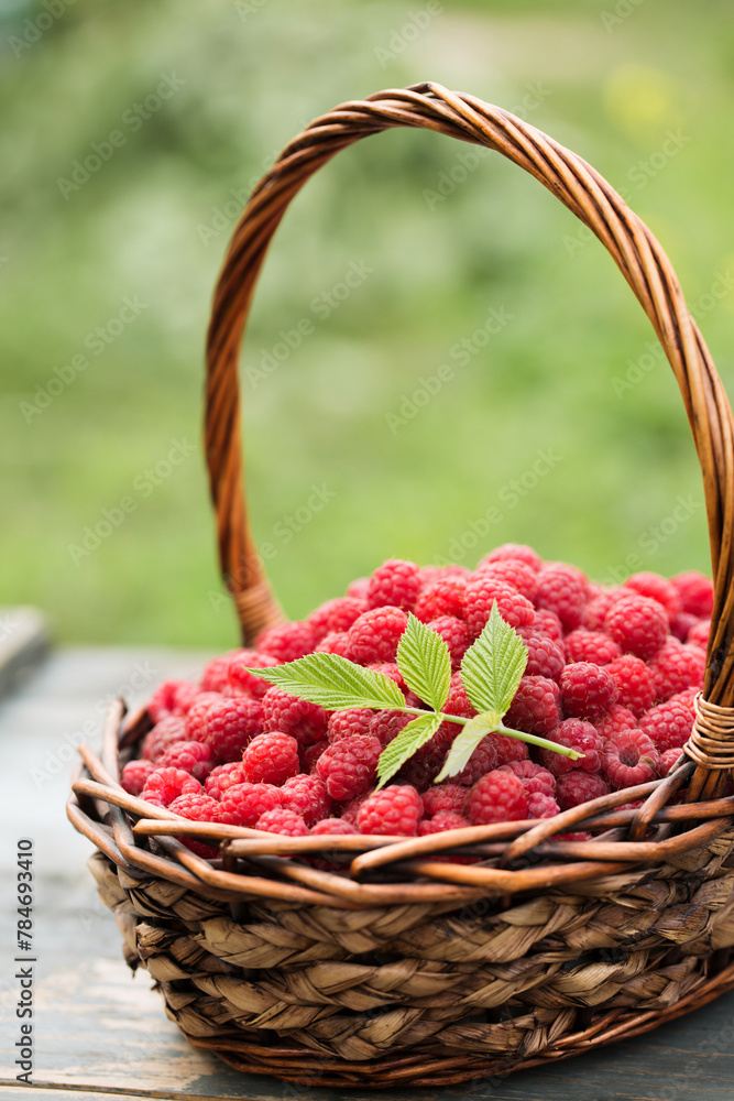 A wicker basket full of ripe raspberries A wicker basket full of ripe raspberries