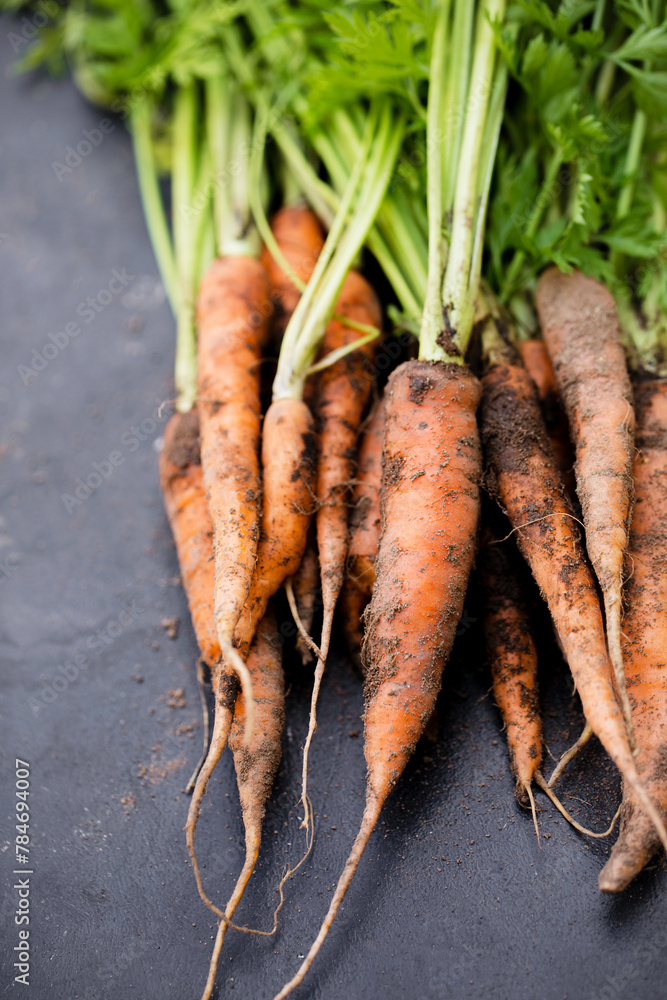 Dirty carrots with tops Dirty carrots with tops