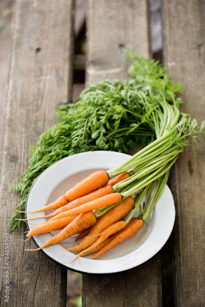 Fresh juicy farm carrot with green top Fresh juicy farm carrot with green top