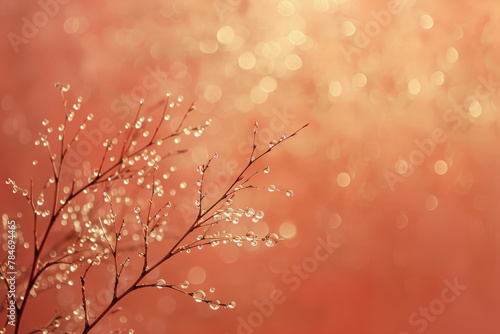 Dewdrops on Twigs Against a Warm Bokeh Background