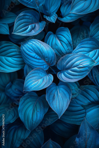 Sapphire Leaves: A Close-Up of Blue Botanical Textures © smth.design