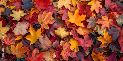 Vibrant Autumn Leaves Background in Full Fall Colors