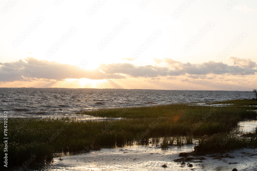 The marsh in Wakulla County, Florida