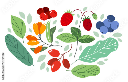 Wild berries fresh and ripe tasty healthy food with leaves vector flat style illustration isolated over white, delicious vegetation diet eating, nature gifts.