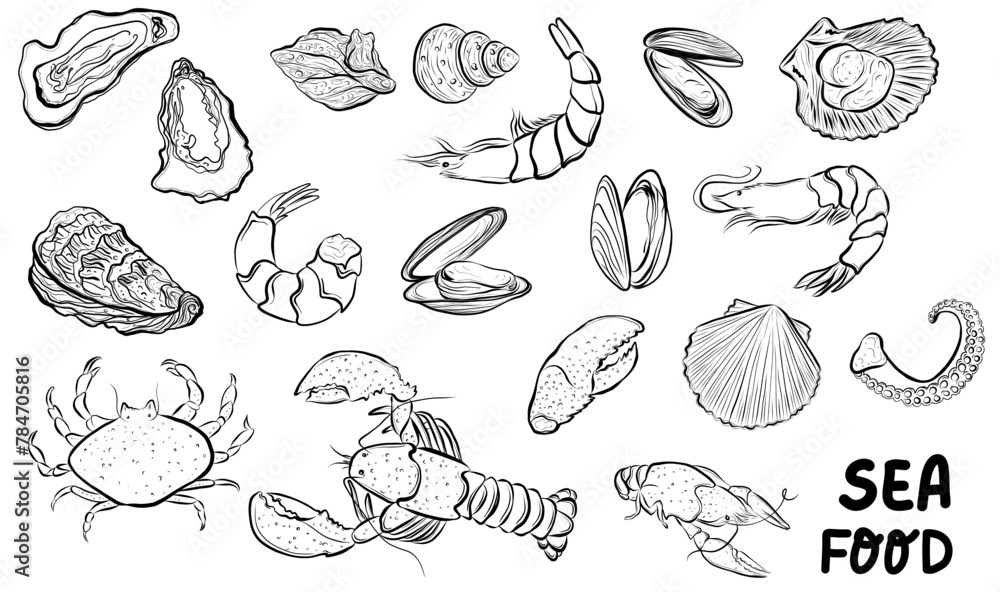 Seafood hand drawn sketch vector illustration for poster, print, home decoration, menu cover, invitation, design template. Scallop, lobster, oyster, mussel, shrimp, crustacean Seafood hand drawn sketch vector illustration for poster, print, home decoration, menu cover, invitation, design template. Scallop, lobster, oyster, mussel, shrimp, crustacean