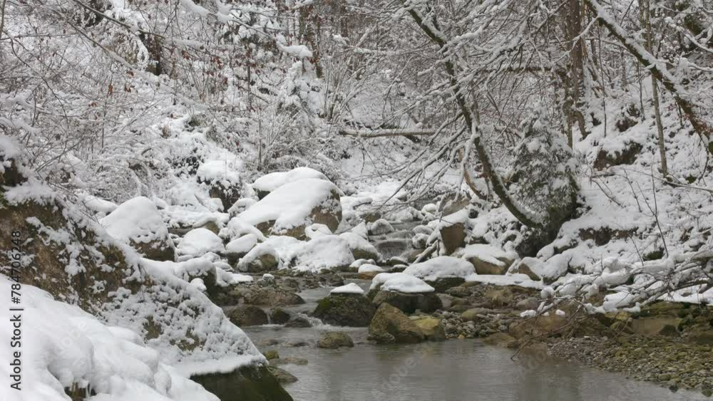 Winter Mountain Stream. Forest Stream. Mountain River. Snowy Creek. A small mountain stream in the winter. Vorderthal, canton of Schwyz, Switzerland. Winter Mountain Stream. Forest Stream. Mountain River. Snowy Creek. A small mountain stream in the winter. Vorderthal, canton of Schwyz, Switzerland.