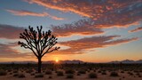 sunset-in-the-desert.jpg