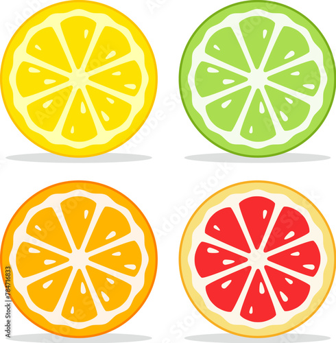 vector lime, lemon, grapefruit and orange slices © FreeSoulProduction