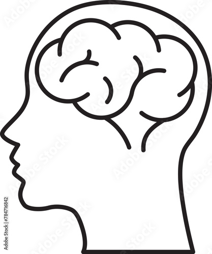 vector brain in human head