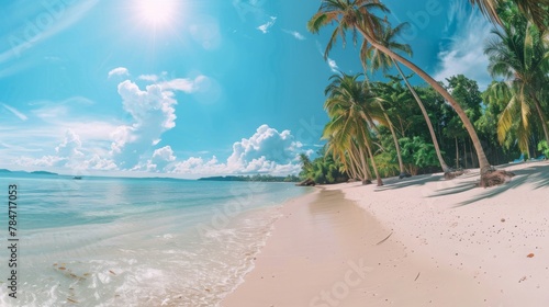 Wide panorama of exotic tropical beach
