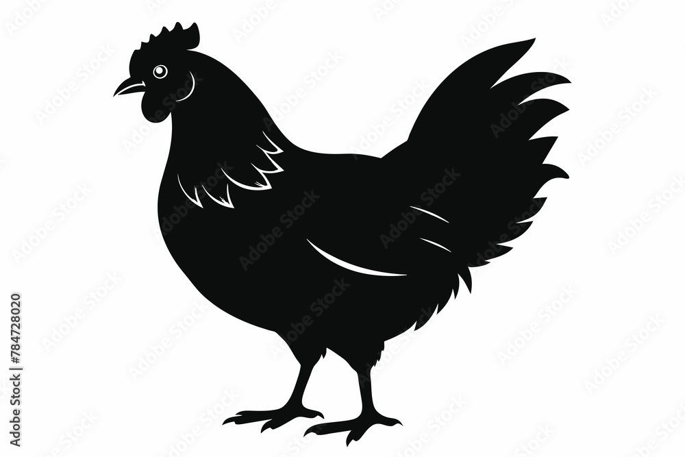 chicken silhouette of vector illustration chicken silhouette of vector illustration