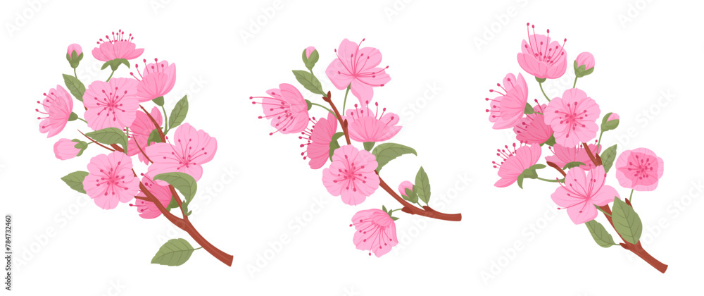 Japanese cherry branches. Spring blooming pink sakura tree, sakura buds and flowers flat vector illustration set. Cute blooming branch collection