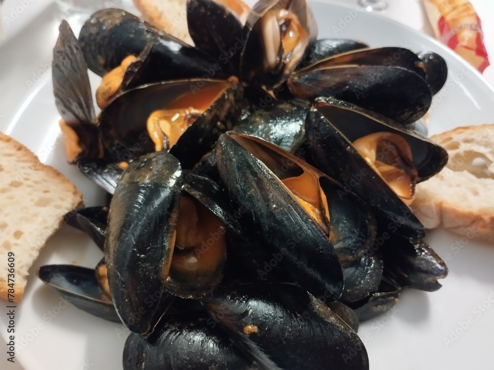 mussels on a white plate mussels on a white plate