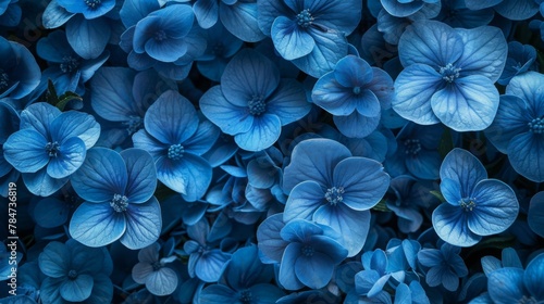 blue flowers full background top view 