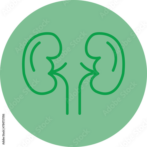 Kidneys Green Line Circle Icon