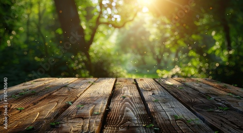 Sunlight Filtering Through Trees Onto Wooden Table