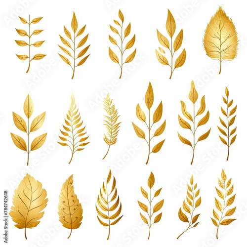 Collection of golden leaves illustrations. Isolated on white background. Set of gold foliage in different shapes. Concept of autumn design elements  botanical illustrations  and seasonal decoration.
