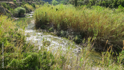 Cuenca de rio mediterráneo , ribera del rio Serpis , Valencia , España