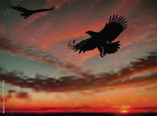two eagles flying in red sunset sky