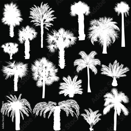 seventeen palm silhouettes isolated on black